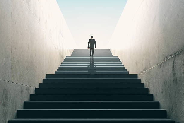怎么办理西班牙vat税号申报